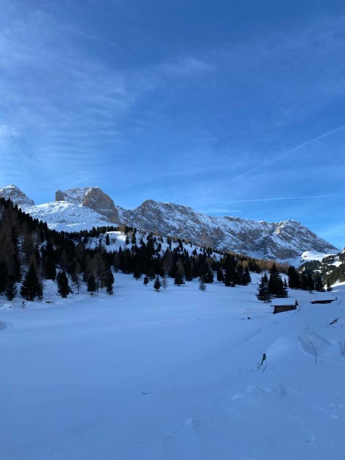 Apartamento Casa Fiemme Panchia Exterior foto